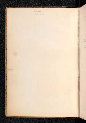 codex002489-002v