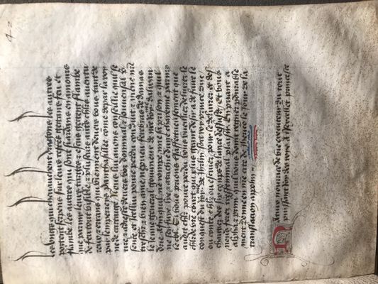 Blanche_Jousting_Letters
